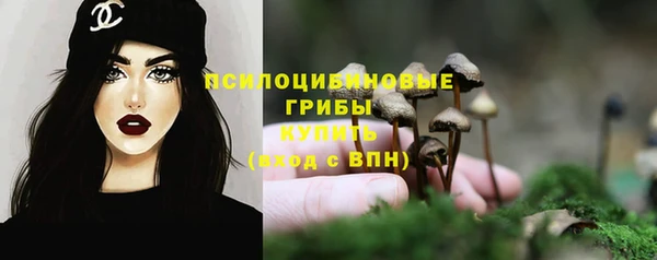 молекула духа Абинск