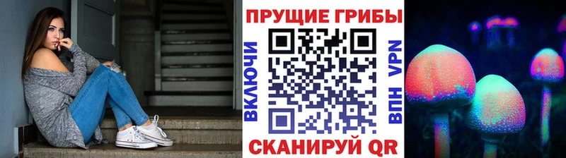 площадка клад Мосальск Галлюциногенные грибы мухоморы